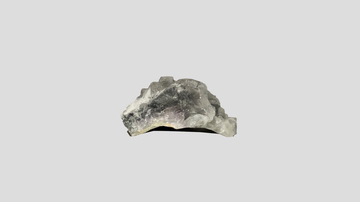 Polycam capture 3D Model