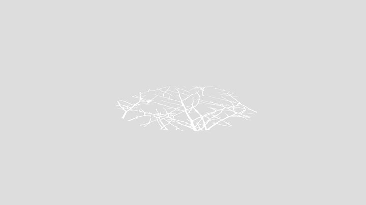 Gobo Mesh (Branches) 3D Model