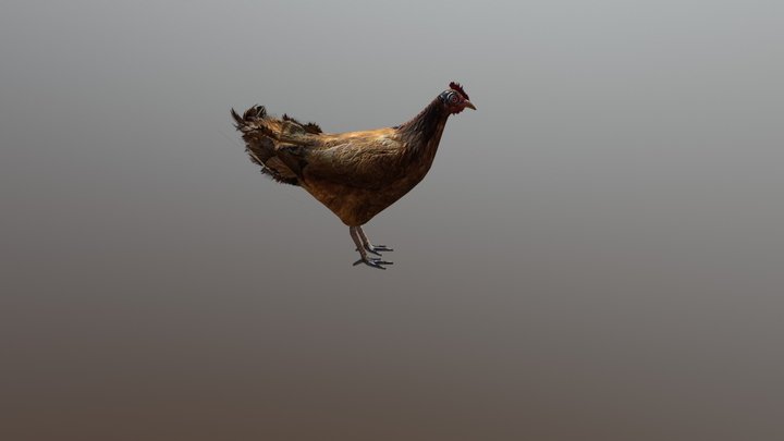 cyborg Chicken 3D Model