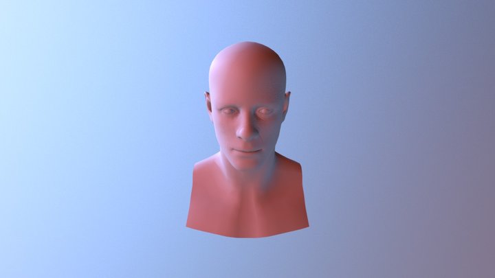 head 3D Model