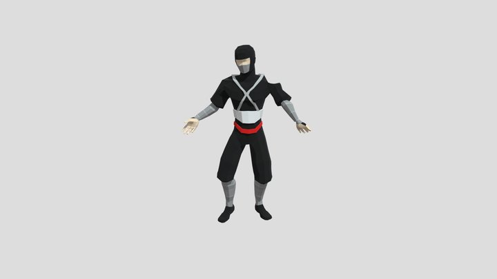 Ninja 3D Model