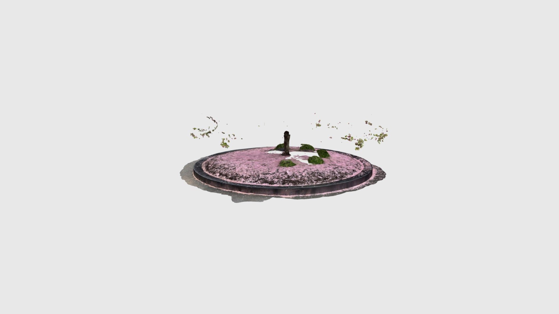 Cherry tree fDU Teaneck nj - Download Free 3D model by Krochmal ...
