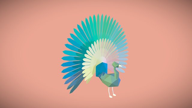 Peacock 3D Model