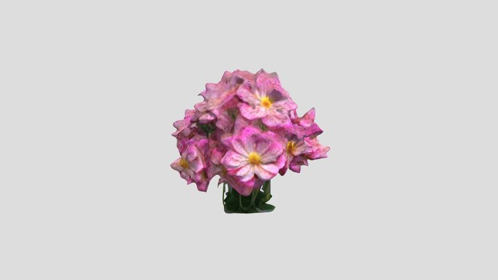 938015acb875_flowers_with_petals_as_large_as_ 3D Model