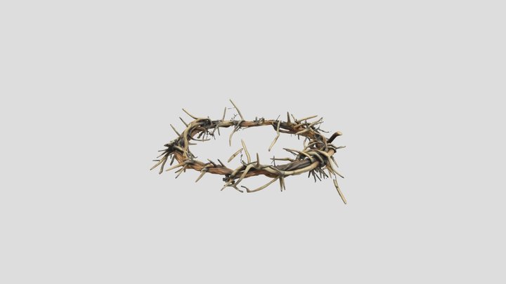 Crown of Thorns 3D Model