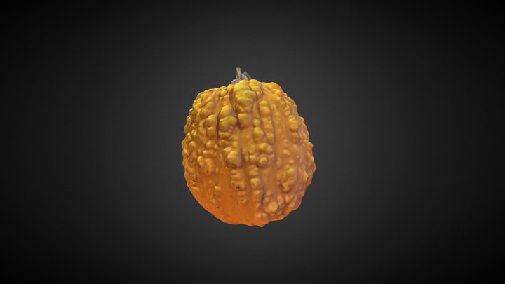 Yellow Pumpkin 3D Model