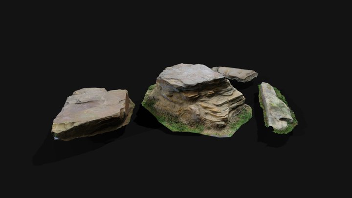 Rock Scans 3D Model