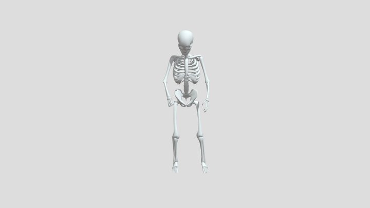 Uploads Files 600310 Skeleton Animated 3D Model