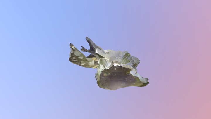 Pelade cave Serres, GR 3D Model