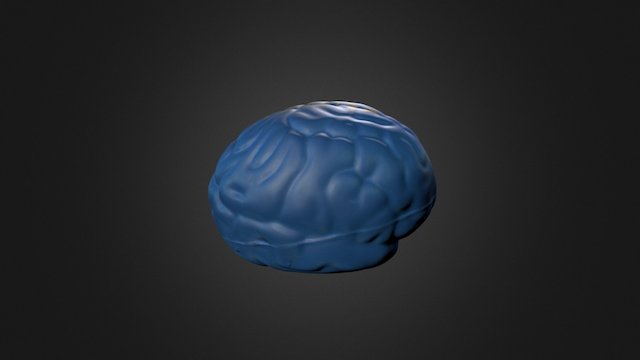 Brain Toy - 500 Merge 3D Model