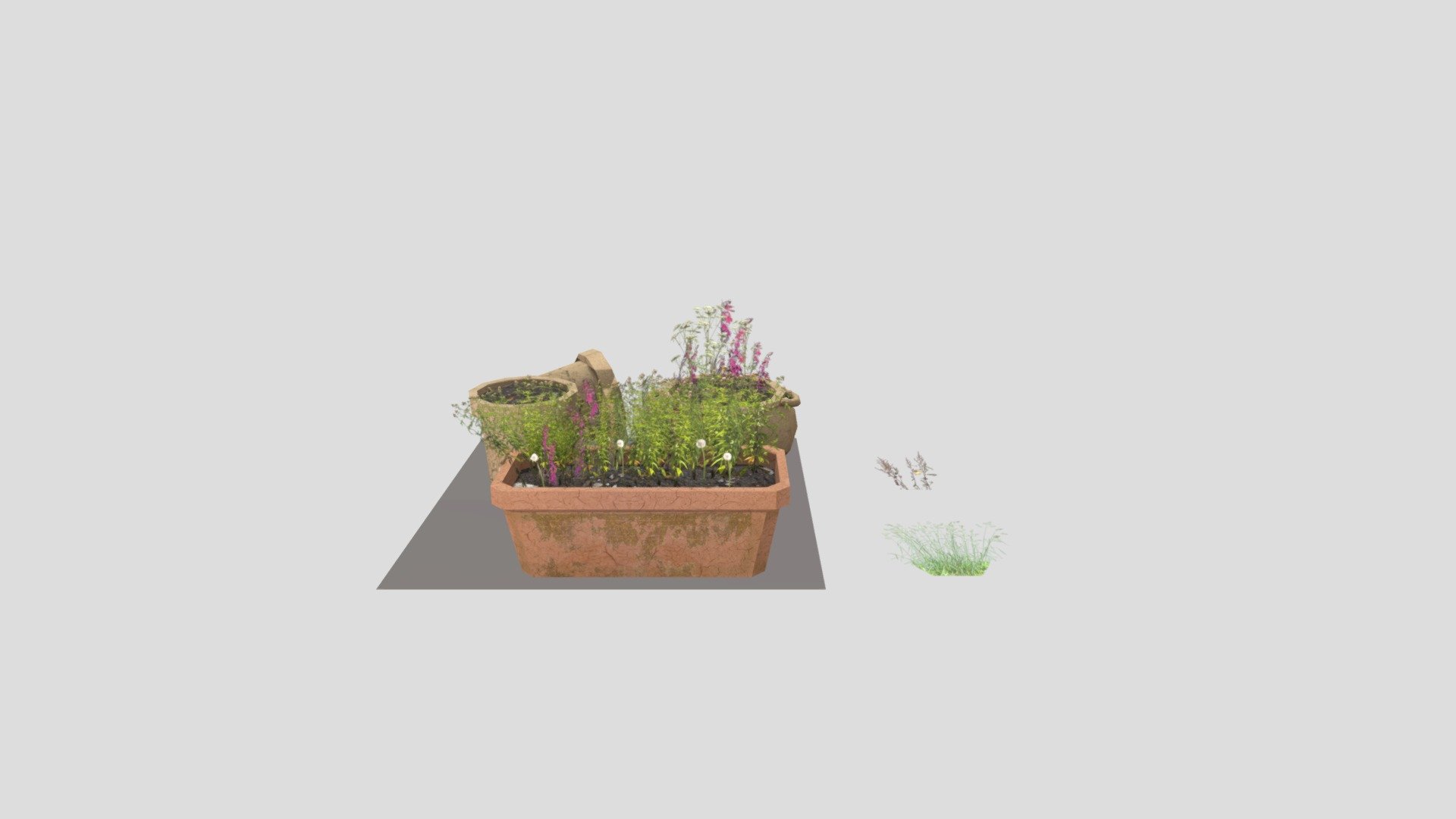 Flower Pots