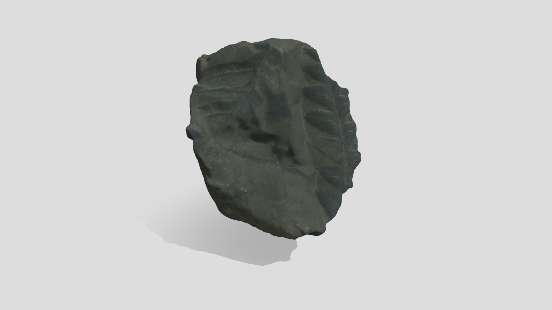 3D model Fossil Plant - This is a 3D model of the Fossil Plant. The 3D model is about a rock with a dark background.