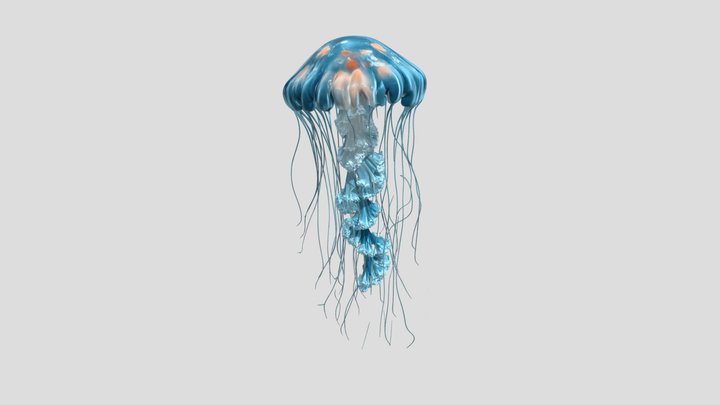 Spiral Ribbon Jelly fish 3D Model – Modello 3D gratuito STL