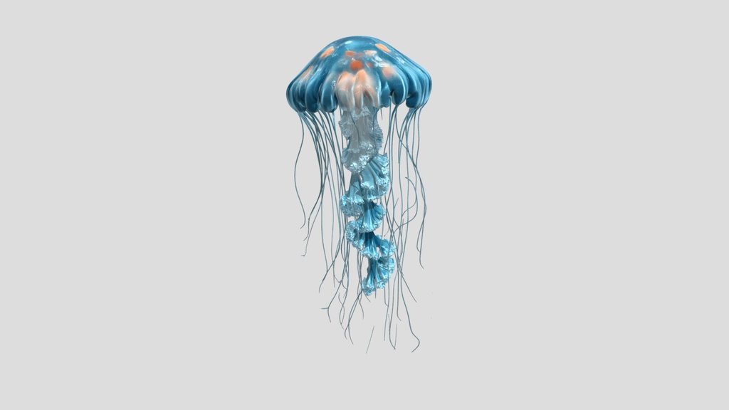 Spiral Ribbon Jelly fish 3D Model