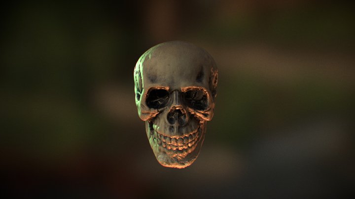 Godder Skull 3D Model