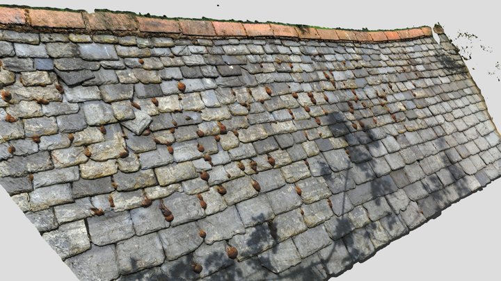 Diminished Slate Roof Scan 3D Model