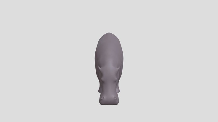 Hipopotamo 3D Model