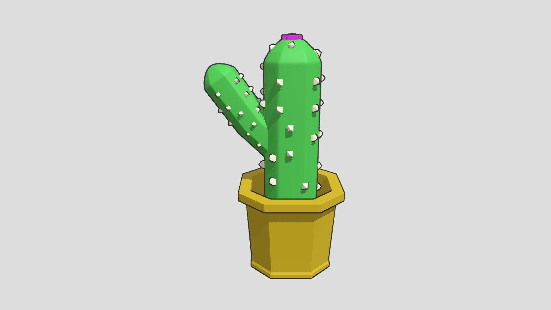 cute cactus