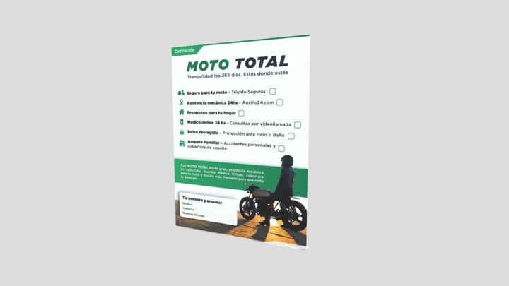 Flyer 3D Model