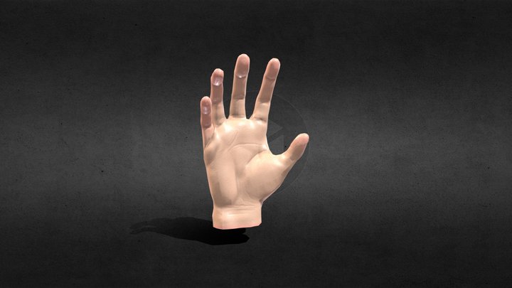 Hand animation test 3D Model