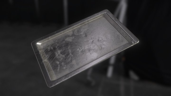 Metal Food Tray