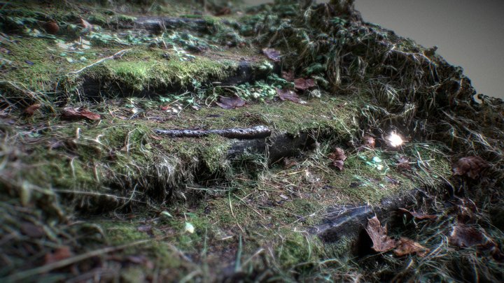 Mossy Stairs - Photogrammetry 3D Model