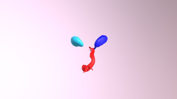Segmentation 3D Model