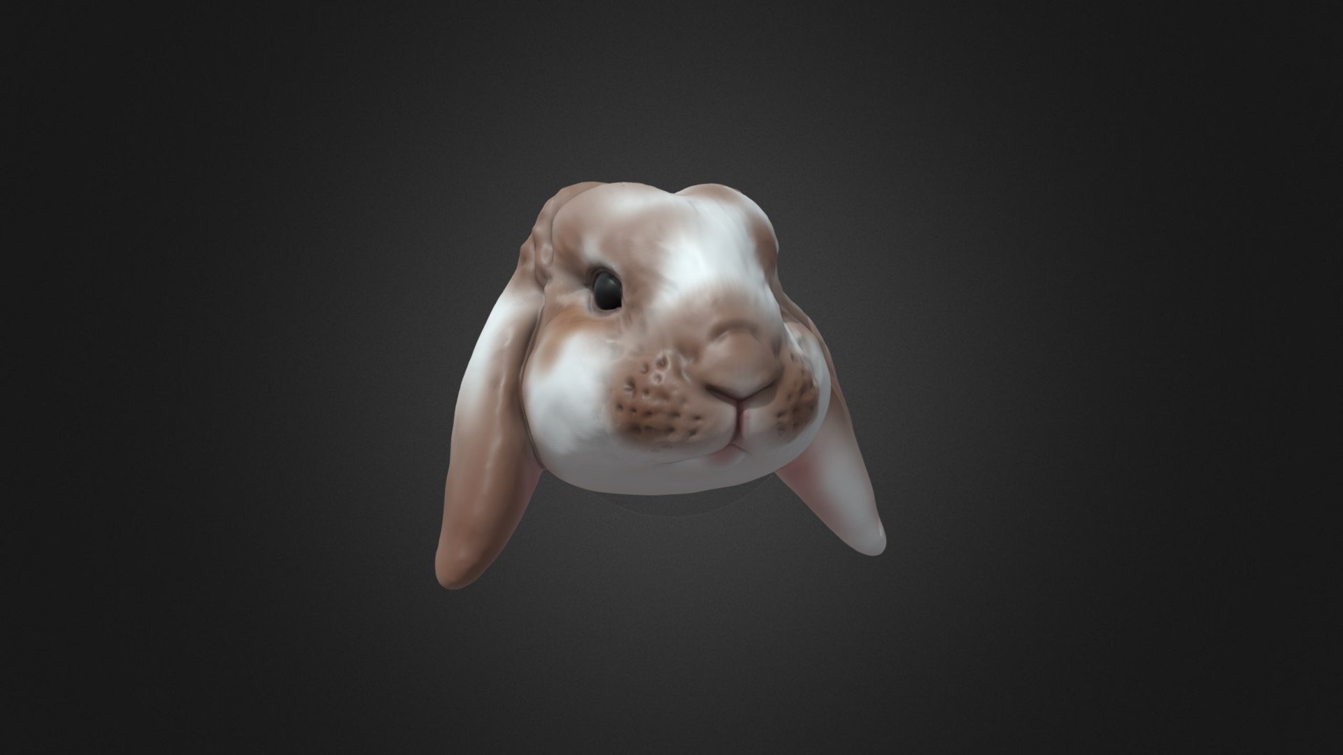 Custom made lop eared rabbit jewelry. - 3D model by Seed by mi ...