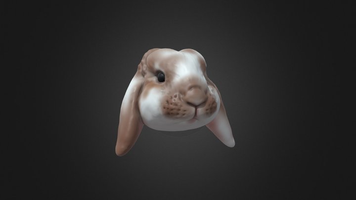 Custom made lop eared rabbit jewelry. 3D Model