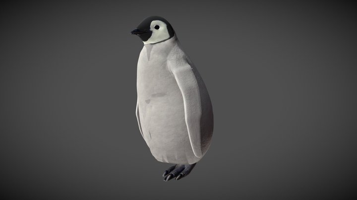 Walking Emperor Penguin Chick 3D Model