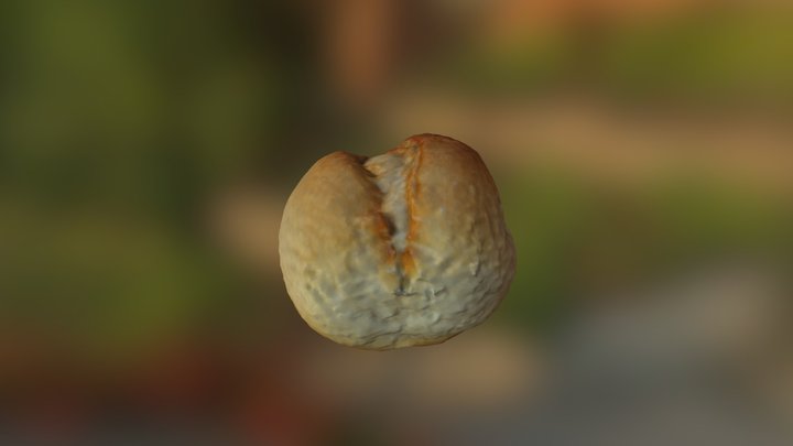 Photoscan Brötchen 3D Model