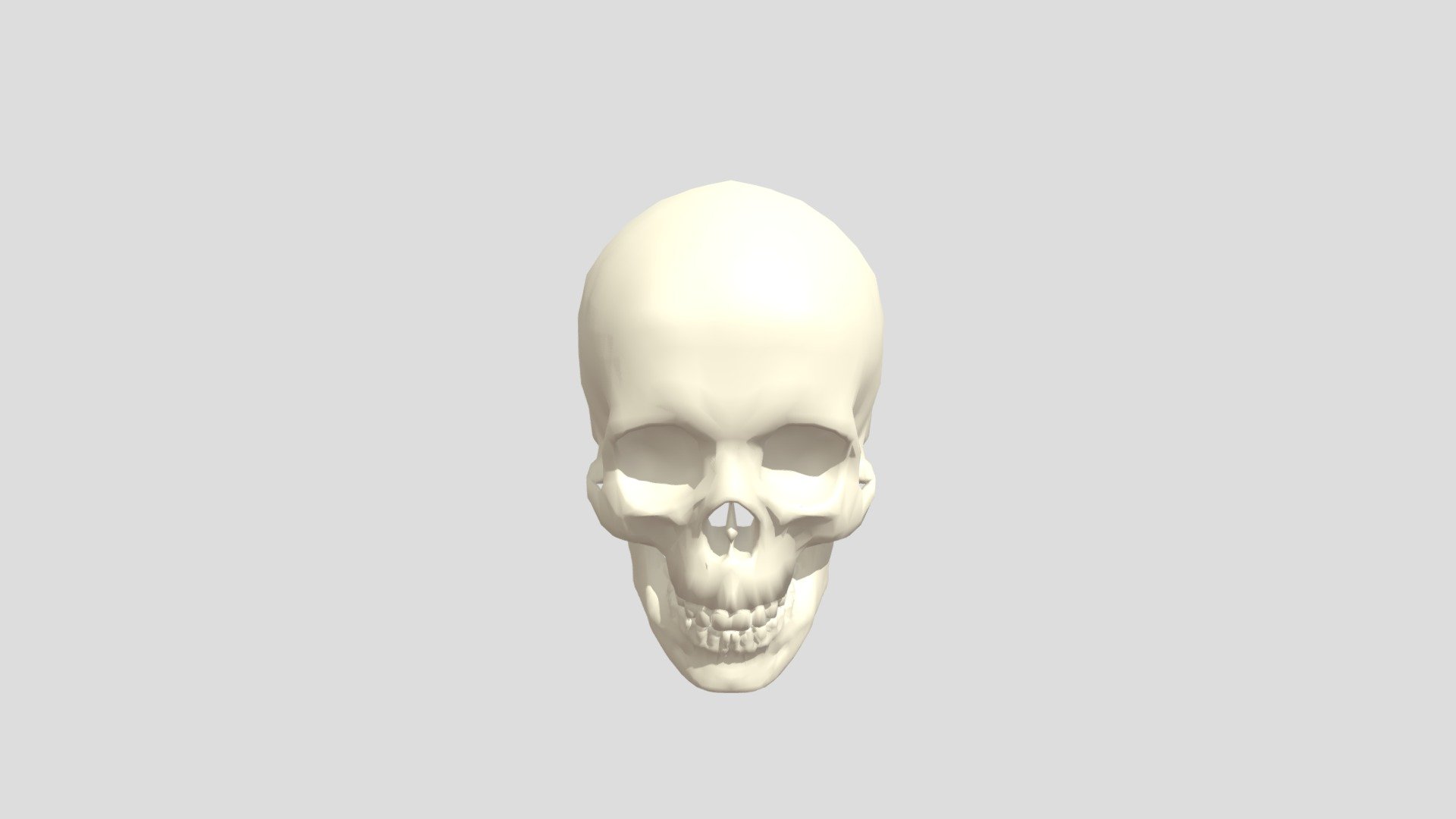 Skull
