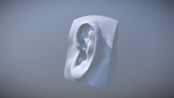 Ear Sculpt #1 3D Model
