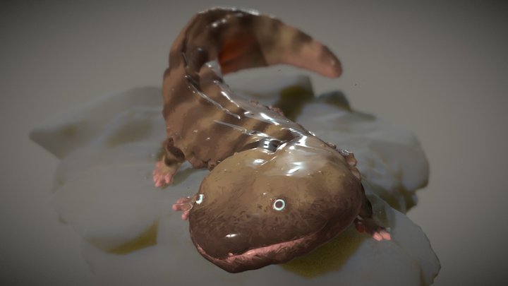 Giant_Salamander 3D Model