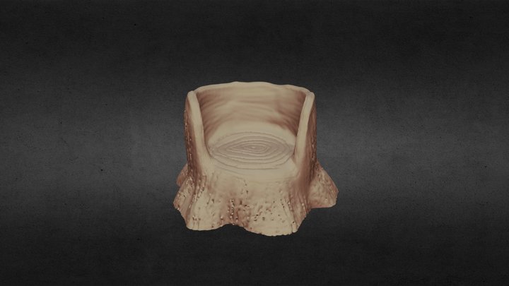 Wood Throne