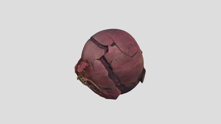 onion_3 3D Model