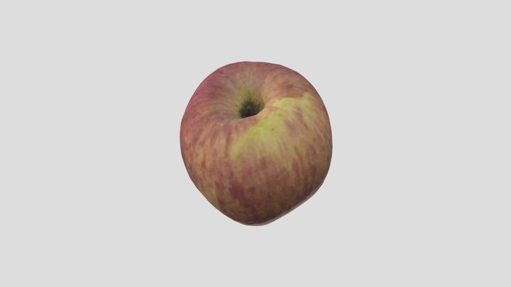 the Apple 3D Model