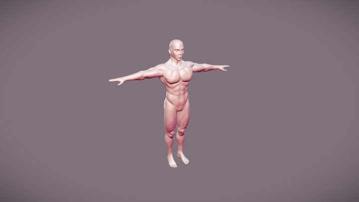 Male Anatomy Reference T-Pose 3D Model