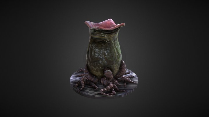 Ovomorph 3D Model