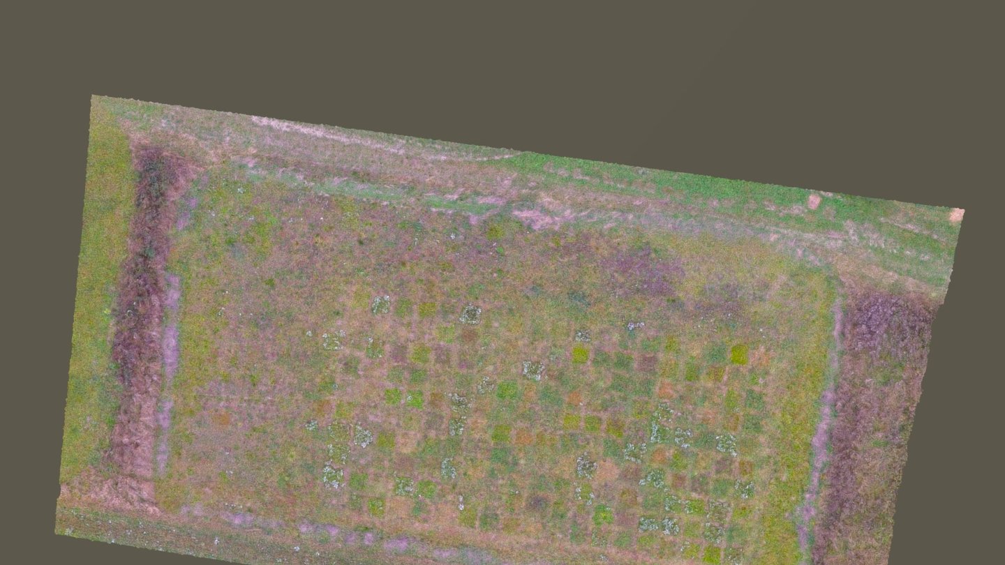 Field Cernovice — Sketchfab embed 3D viewer