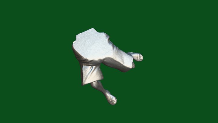 Half body