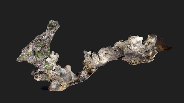 Hosszú-hegyi 5. sz. barlang 2023 3D Model