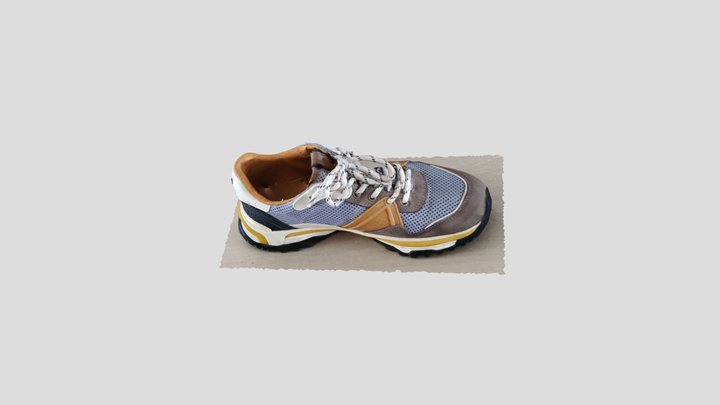 DM_Example_Shoe 3D Model