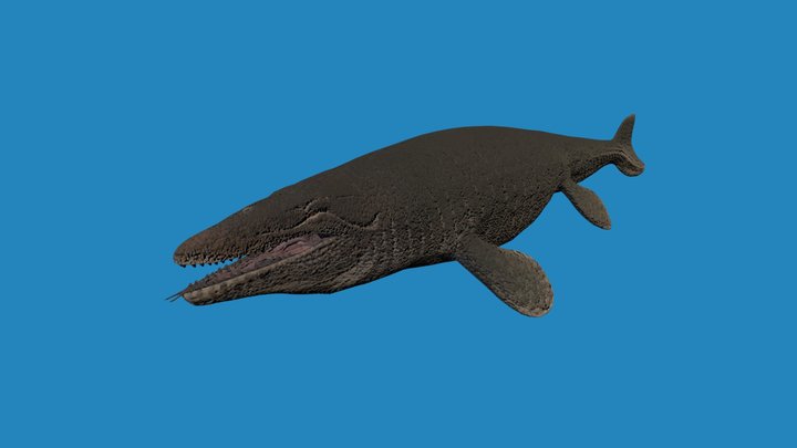 Mosasaurus Sketchfab