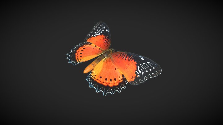 Red Lacewing – Kostenloses 3D-Modell STL