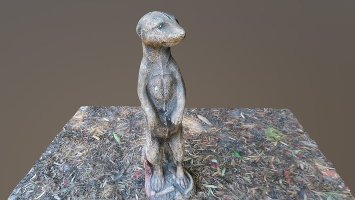 Meerkat Statue In Garden 3D Model