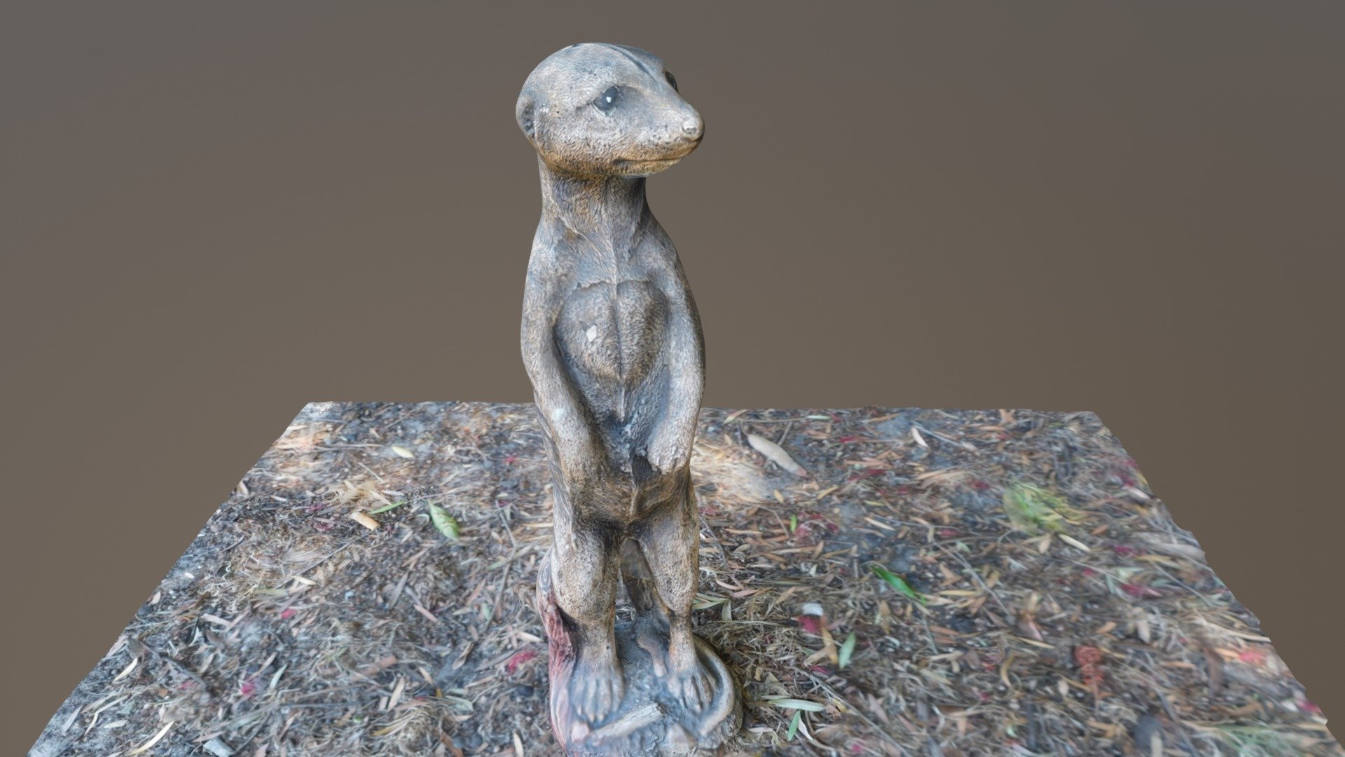 Meerkat Statue In Garden