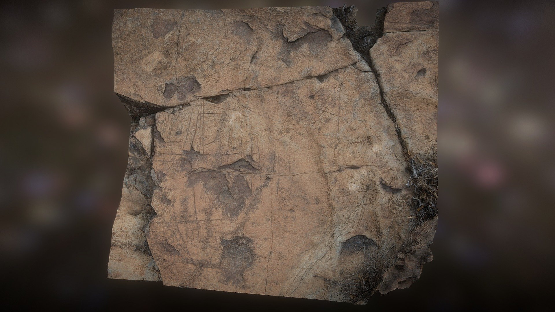 Grabados Rupestres Risco Bisechi (3)