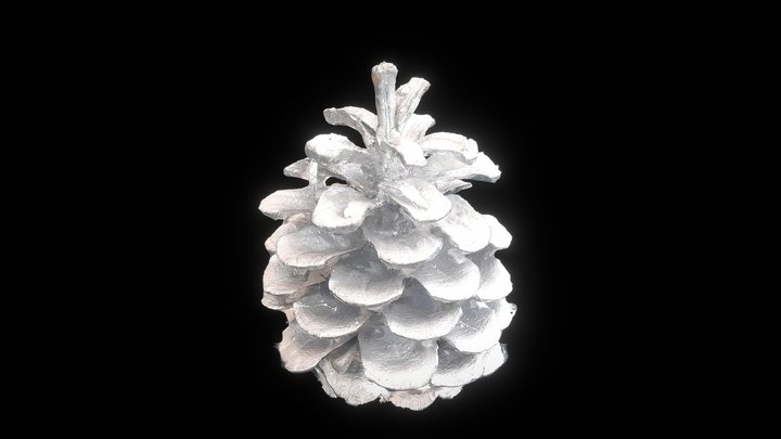 Pine cone - Metallic (3D Scan) 3D Model