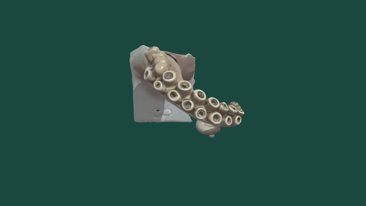 DayRef Challenge Door handle 3D Model